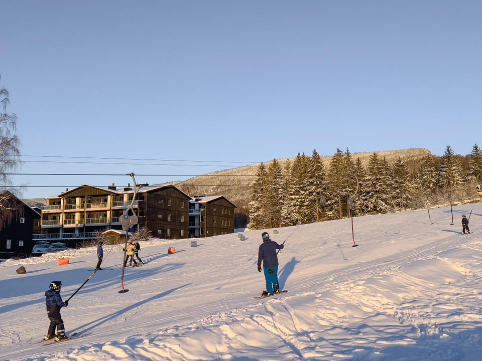 Winter, Skiing, Skiing