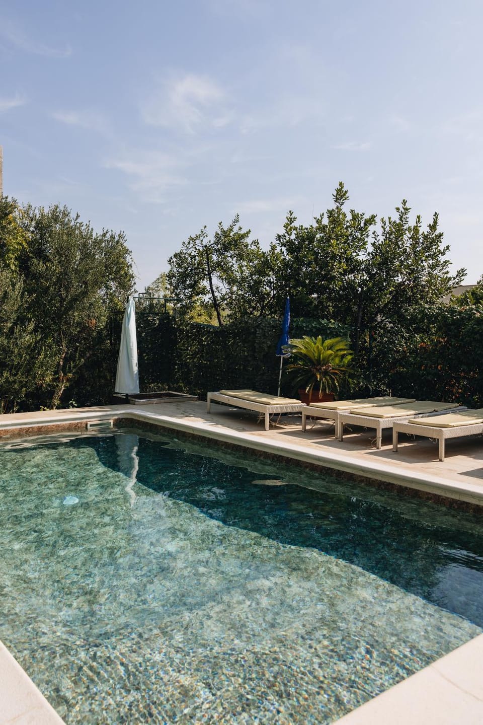 Day, Garden, Garden view, Pool view, Swimming pool, sunbed