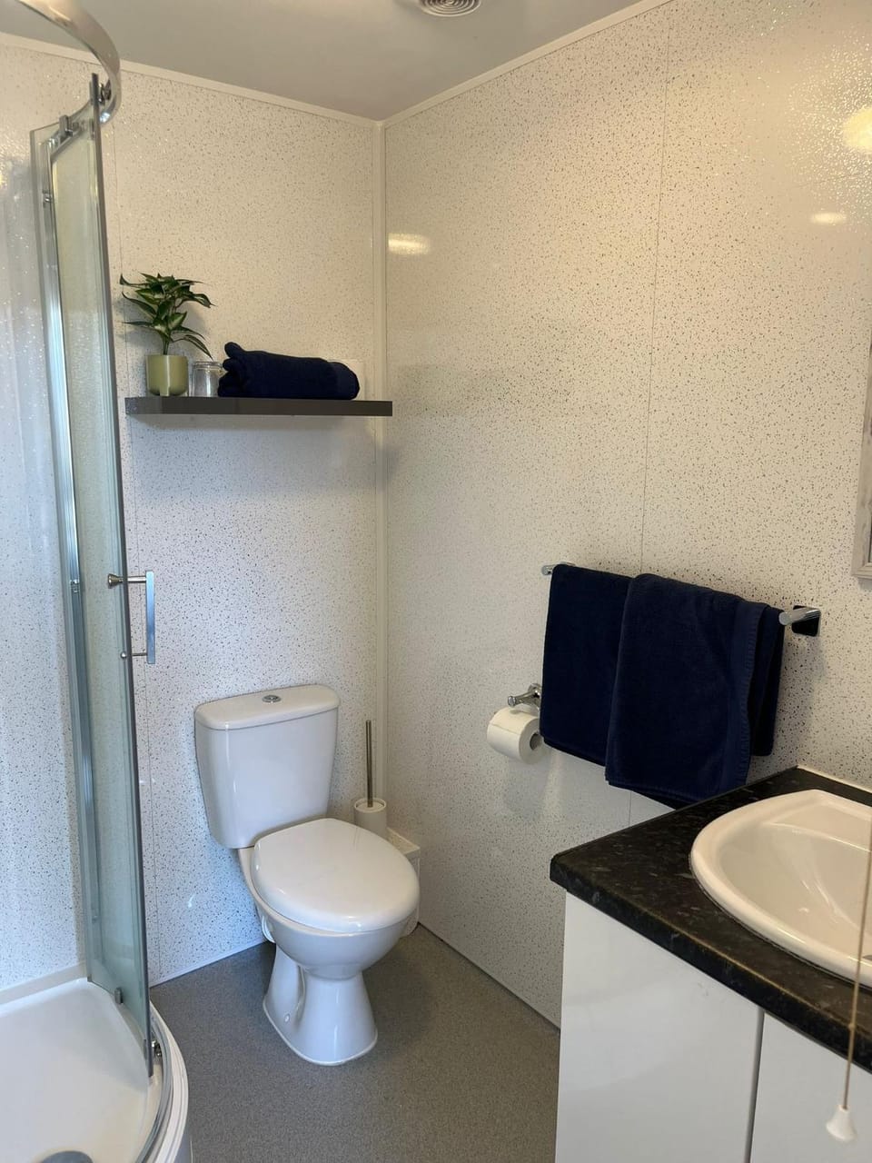 Shower, Toilet, Bathroom, towels