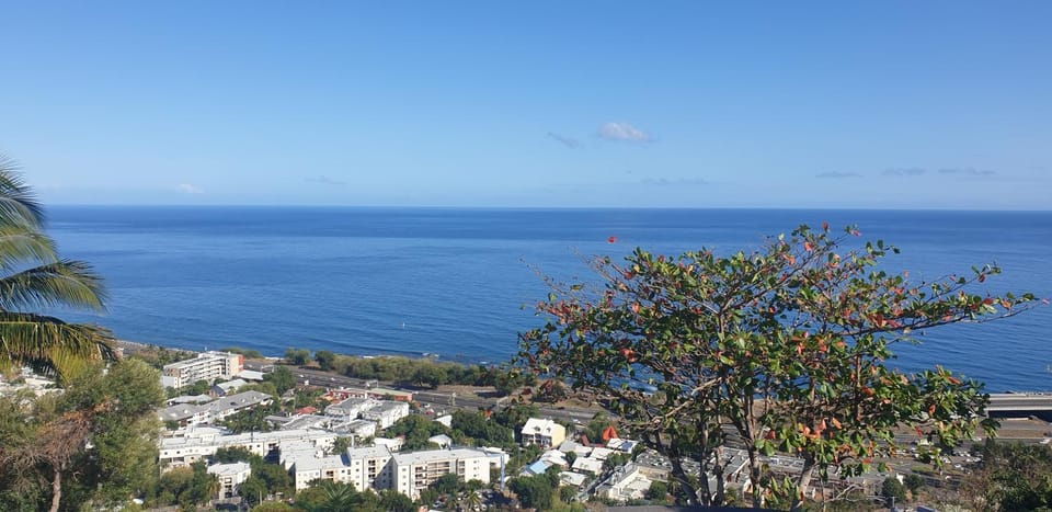 Au Panorama F3 2 chbres Apartment in Réunion
