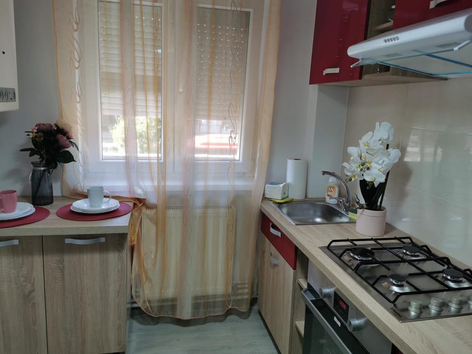 Apartament Alba Iulia Apartment in Romania