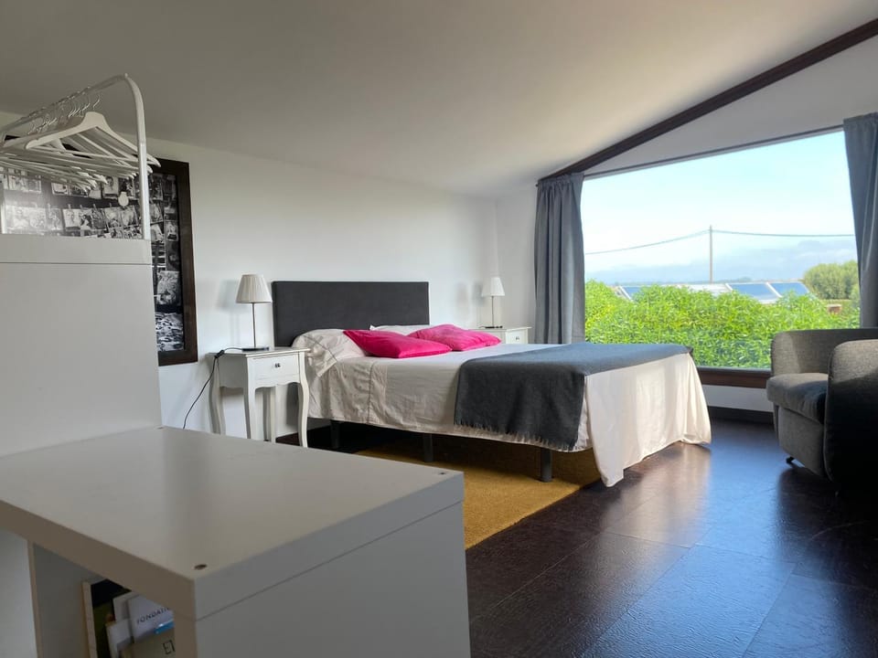 LOFT CAL XURIGUER Apartment in Alt Penedès