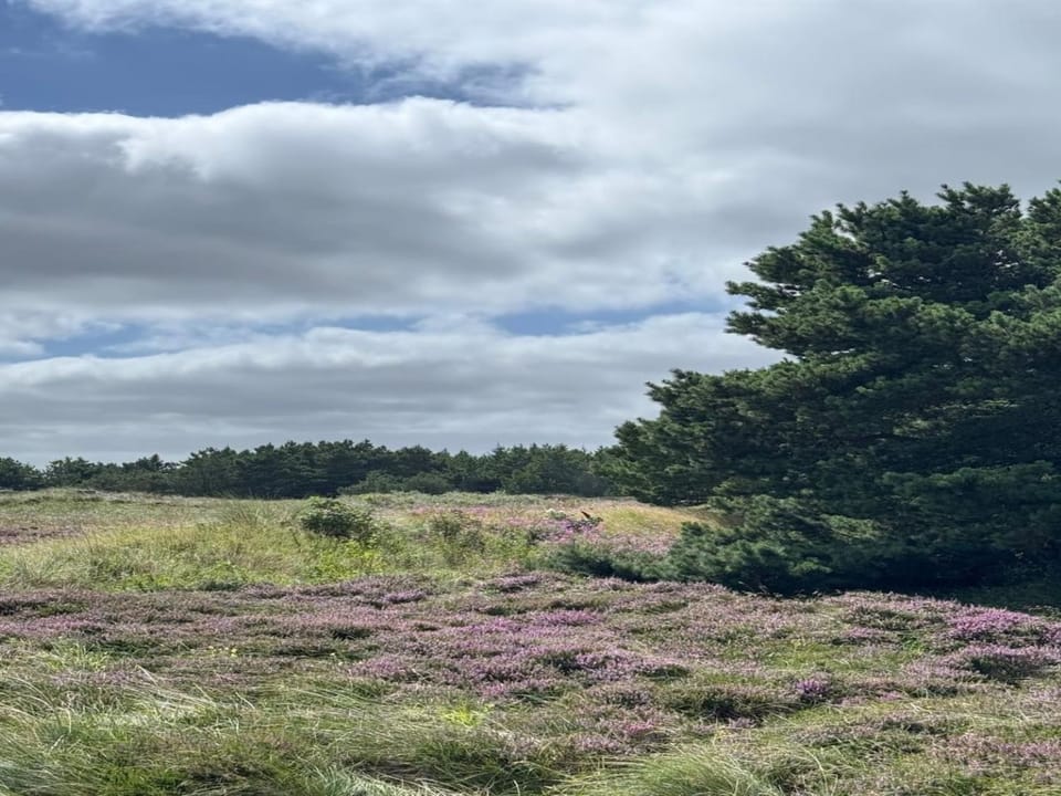 Holiday Home Thrugils - 800m from the sea by Interhome House in Henne Kirkeby
