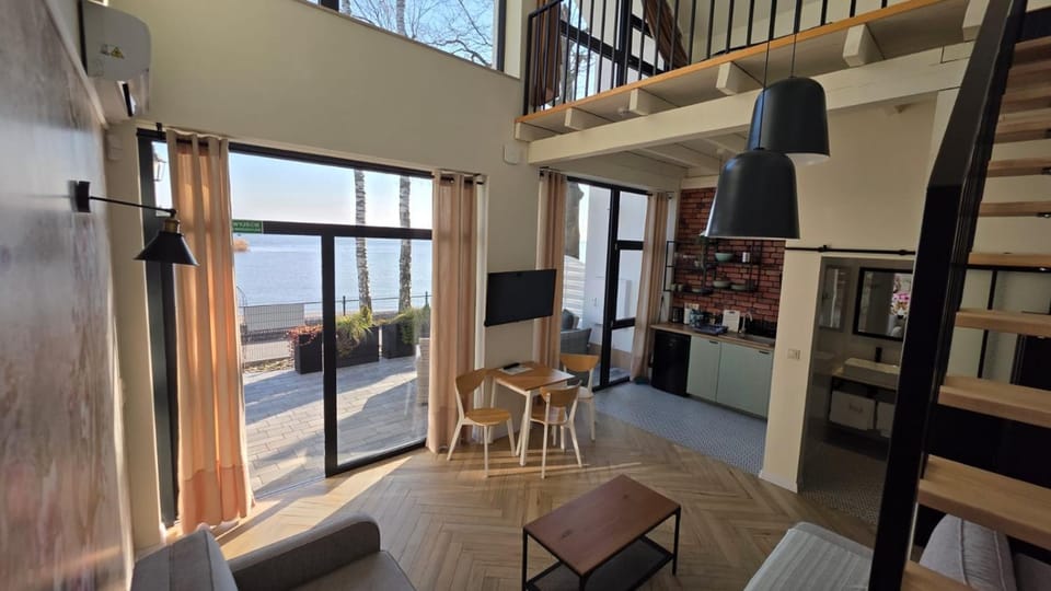 Living room, kitchen