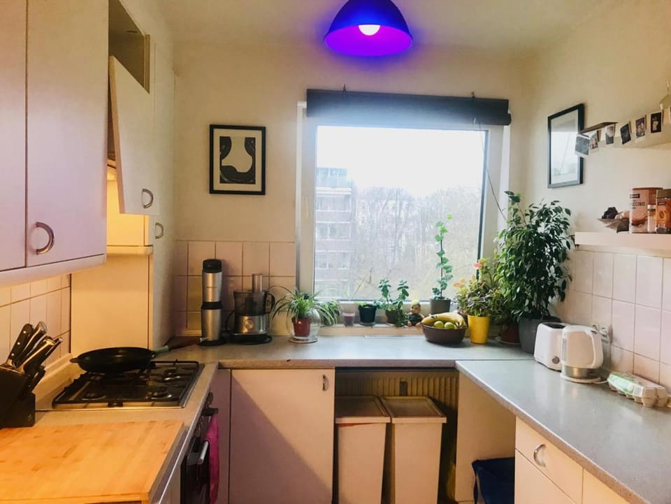 Coffee/tea facilities, Kitchen or kitchenette, stove, Internal: Not applicable to any particular room