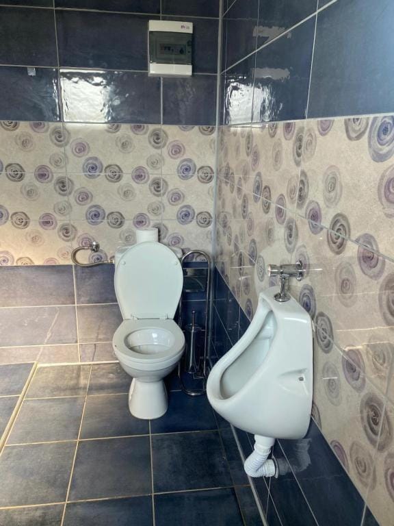 Toilet, Bathroom, bidet