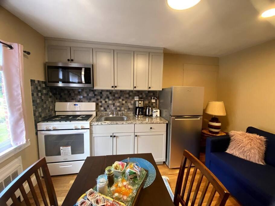 Cozy Boston Getaway Apartment Perfect for 2026 World Cup Visit, Free Parking Apartment in West Roxbury