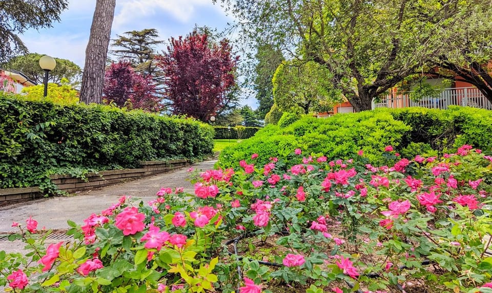 Last Minute Booking Apartment in Peschiera del Garda