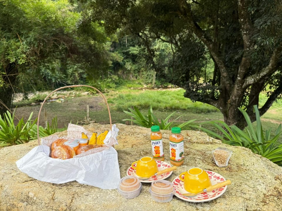 Chalé Refúgio Bem-Te-Vi by HospedaHost Chalet in State of São Paulo