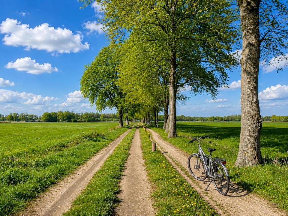 Natural landscape, Cycling
