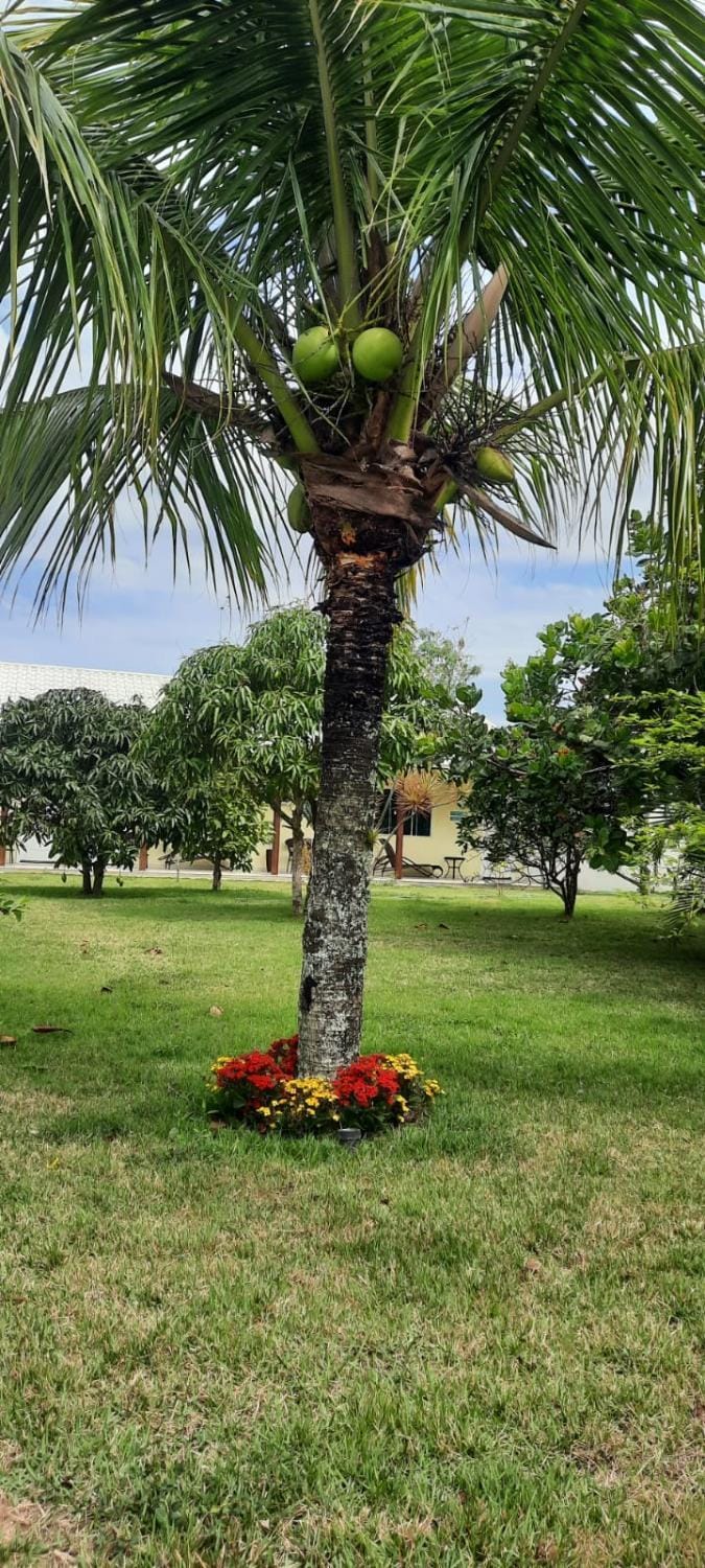 Pousada da Drica Bed and Breakfast in Saquarema