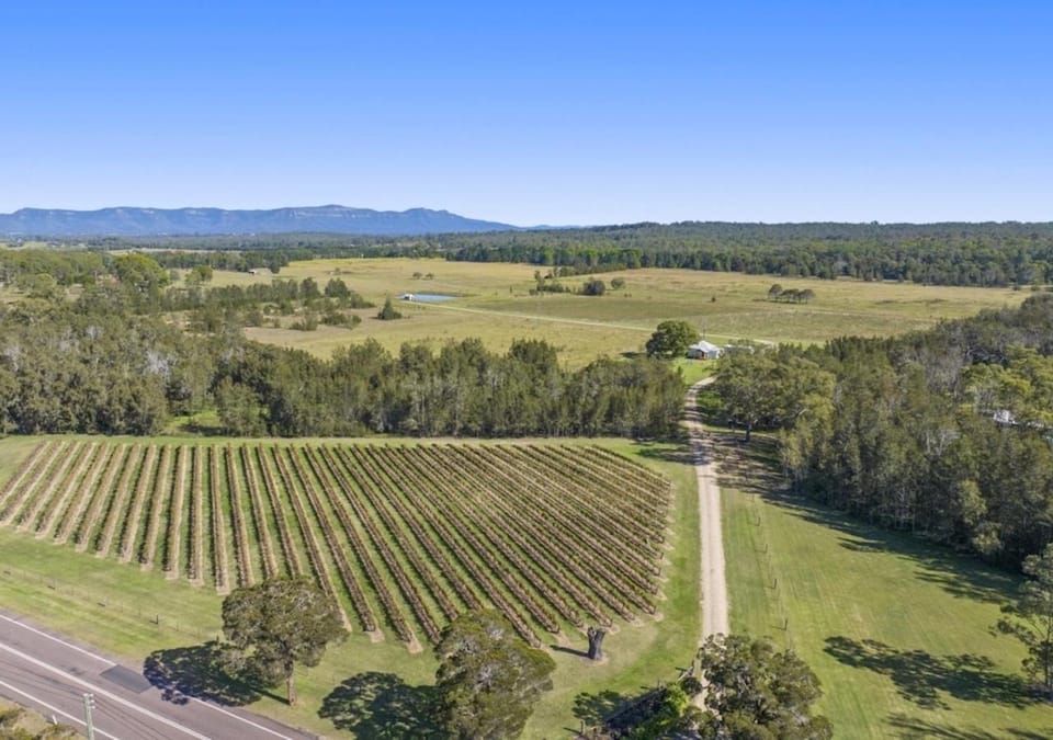 Neighbourhood, Natural landscape, Bird's eye view
