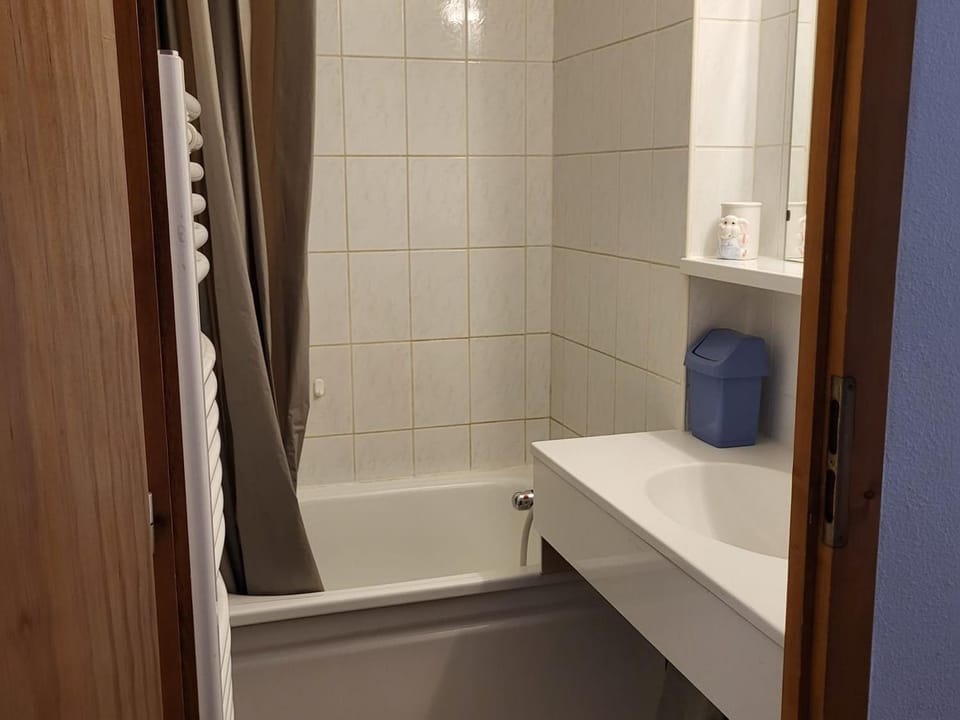 Châtel: 2 pièces pour 5 pers., Proche remontées et parking Apartment in Châtel