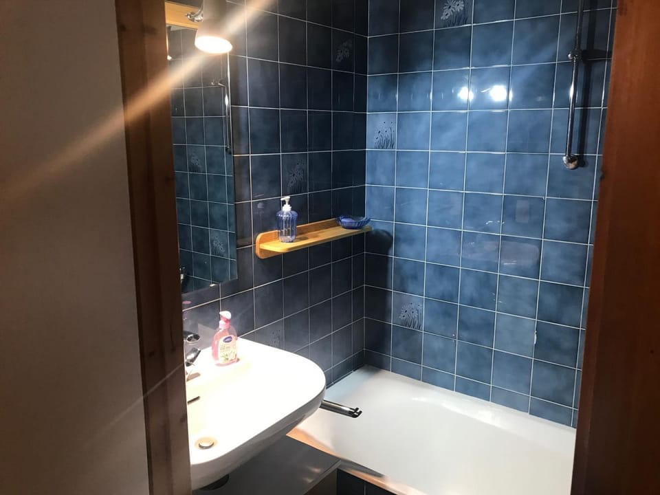 Studio Châtel 4 Pers, Ski, Balcon Sud/Ouest, Parking, Netflix/WIFI, Animaux admis - FR-1-676-122 Apartment in Châtel