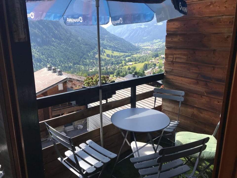 Studio Châtel 4 Pers, Ski, Balcon Sud/Ouest, Parking, Netflix/WIFI, Animaux admis - FR-1-676-122 Apartment in Châtel