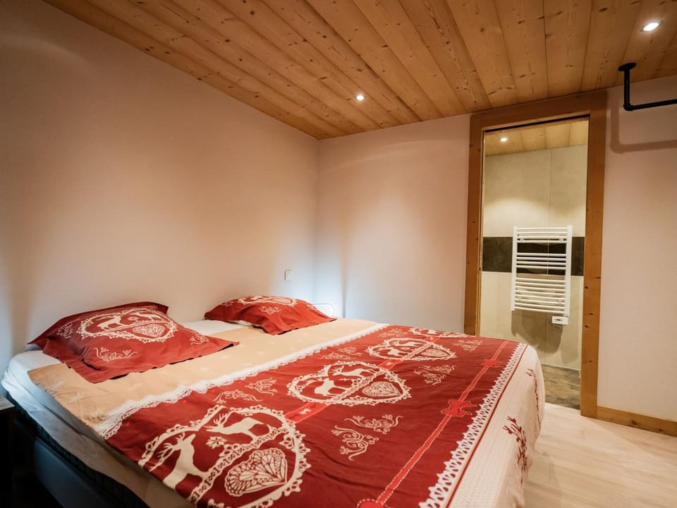 Grand appartement 4 pièces, 8 pers, animaux admis - FR-1-676-173 Apartment in Châtel