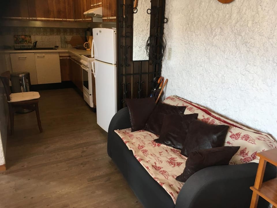 Chalet 3 Pièces, 6 Pers, Animaux Admis, Parking - FR-1-676-164 Apartment in Châtel