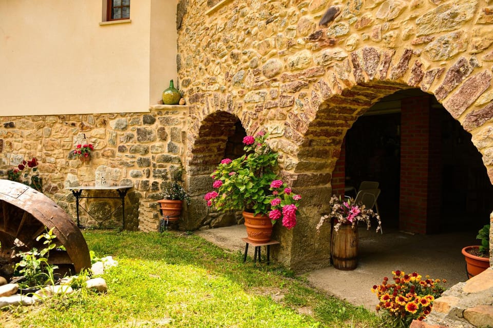 Spring, Day, Garden, Garden view