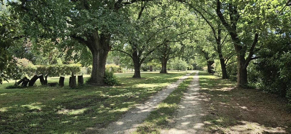 The Avenue Anahdale - Hidden 2.7 Acre Estate in town House in Blayney