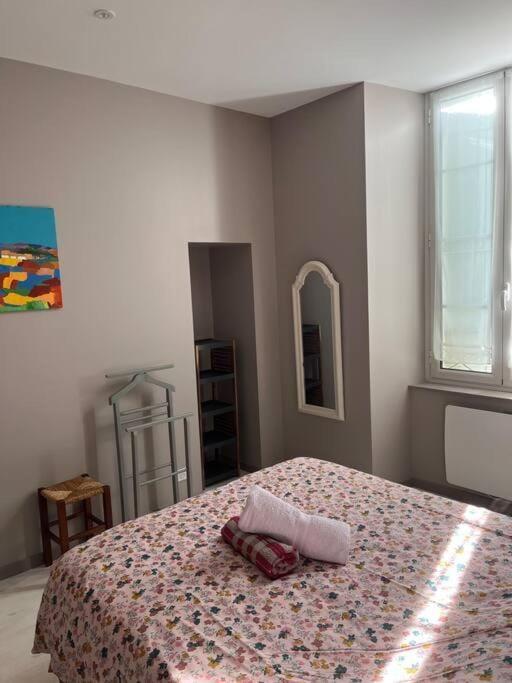 Superbe appartement plein centre Apartment in Occitanie