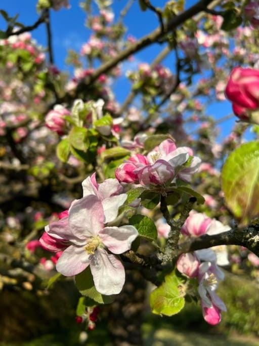 Schöne helle DG Wohnung in der Altstadt Schwerin Apartment in Schwerin