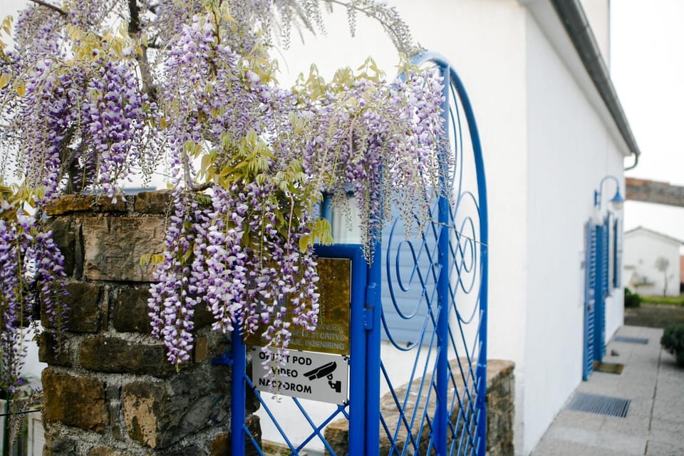 Facade/entrance, Decorative detail