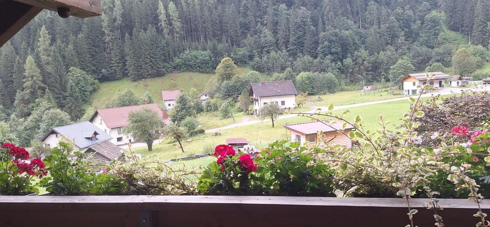 Ferienwohnung Ingrid Apartment in Upper Austria