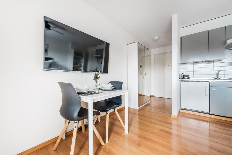 SOHO 3B !Gratis Parken, Free Parking! Apartment in Baden-Württemberg