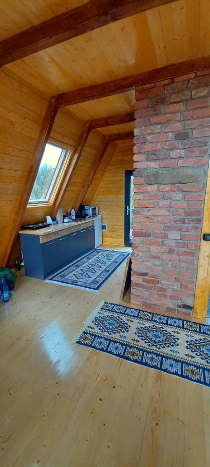 Kitchen or kitchenette, kitchen