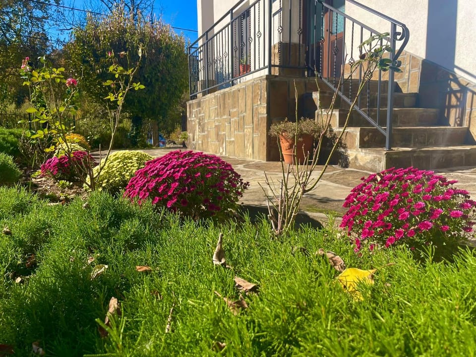 Spring, Day, Garden, Garden view