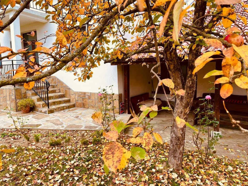 Day, Garden, Garden view