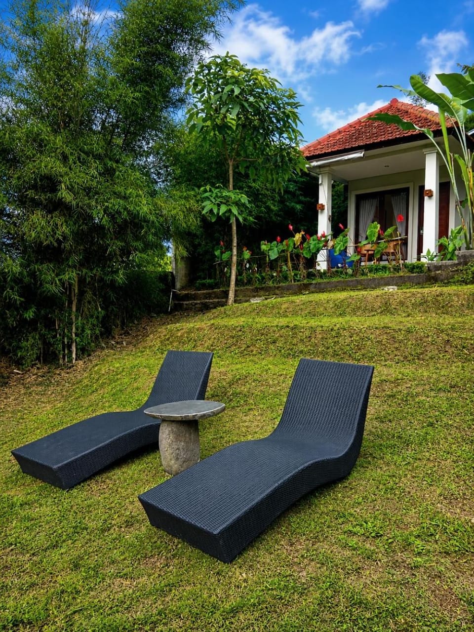 Day, Garden, Garden view, sunbed