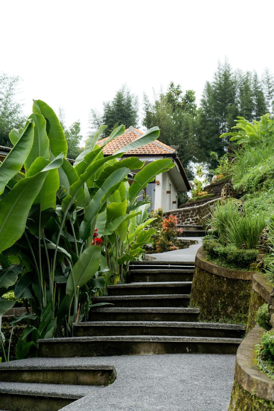 Day, Garden, Garden view