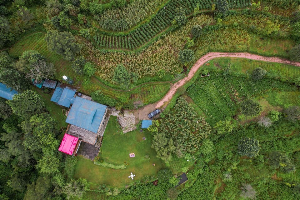 Day, Natural landscape, Bird's eye view