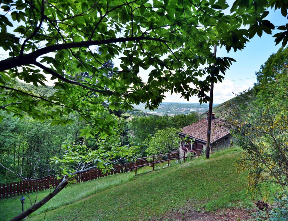 Natural landscape, Garden