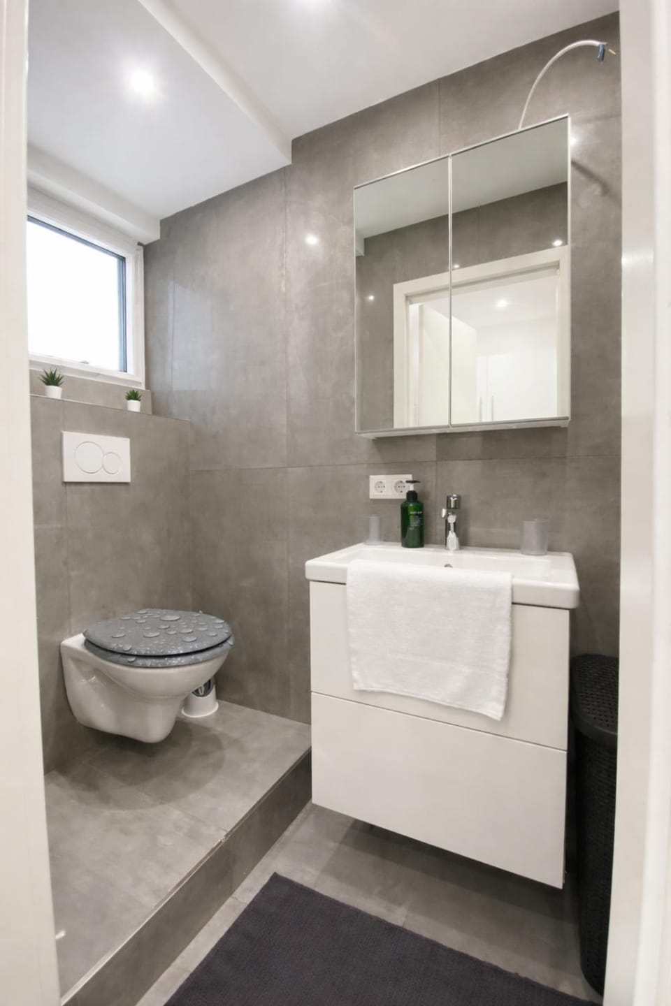 Toilet, Bathroom