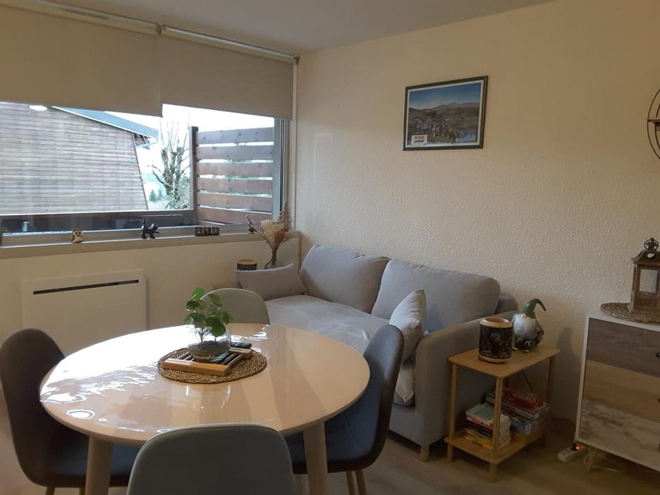 Studio Super-Besse - 4 personnes Apartment in Besse-et-Saint-Anastaise
