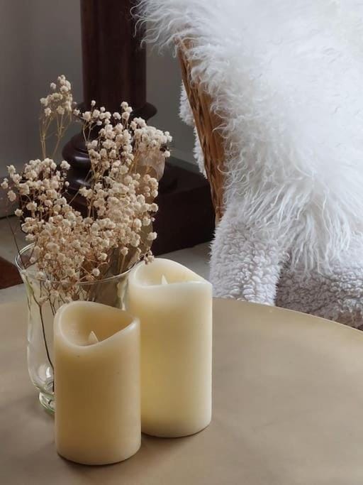 Chez Laurette - Charming apartment in historic village near Versailles Apartment in Île-de-France