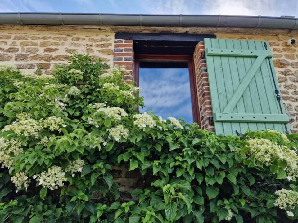 Escapade nature, 2 maisons de charme pour 6 House in Normandy