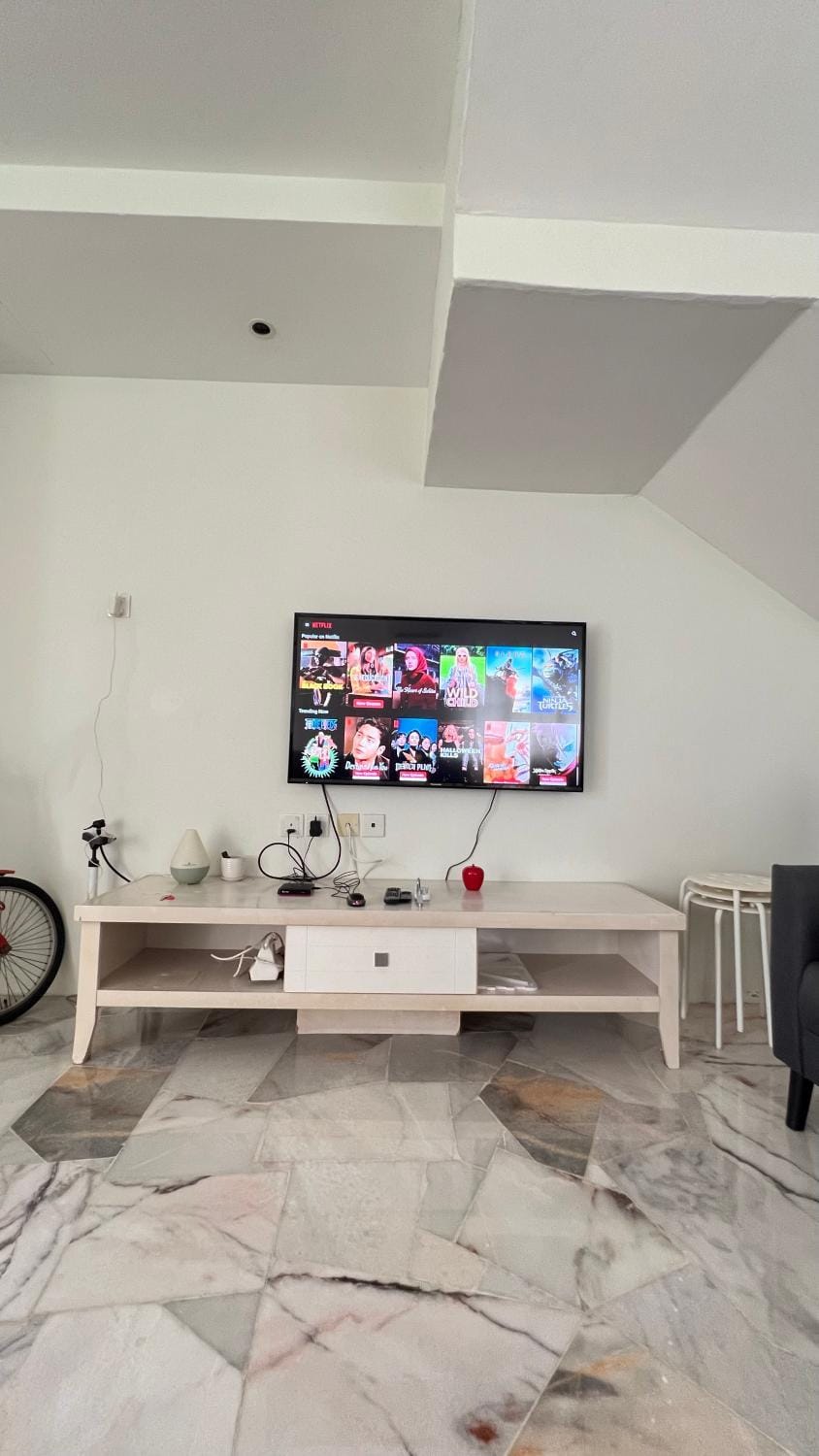 TV and multimedia