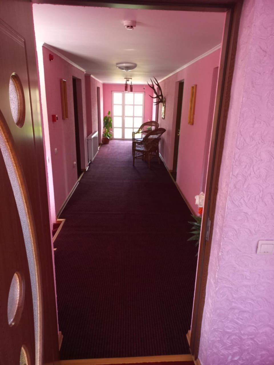 Pensiunea Floare de Bucovina Bed and Breakfast in Romania