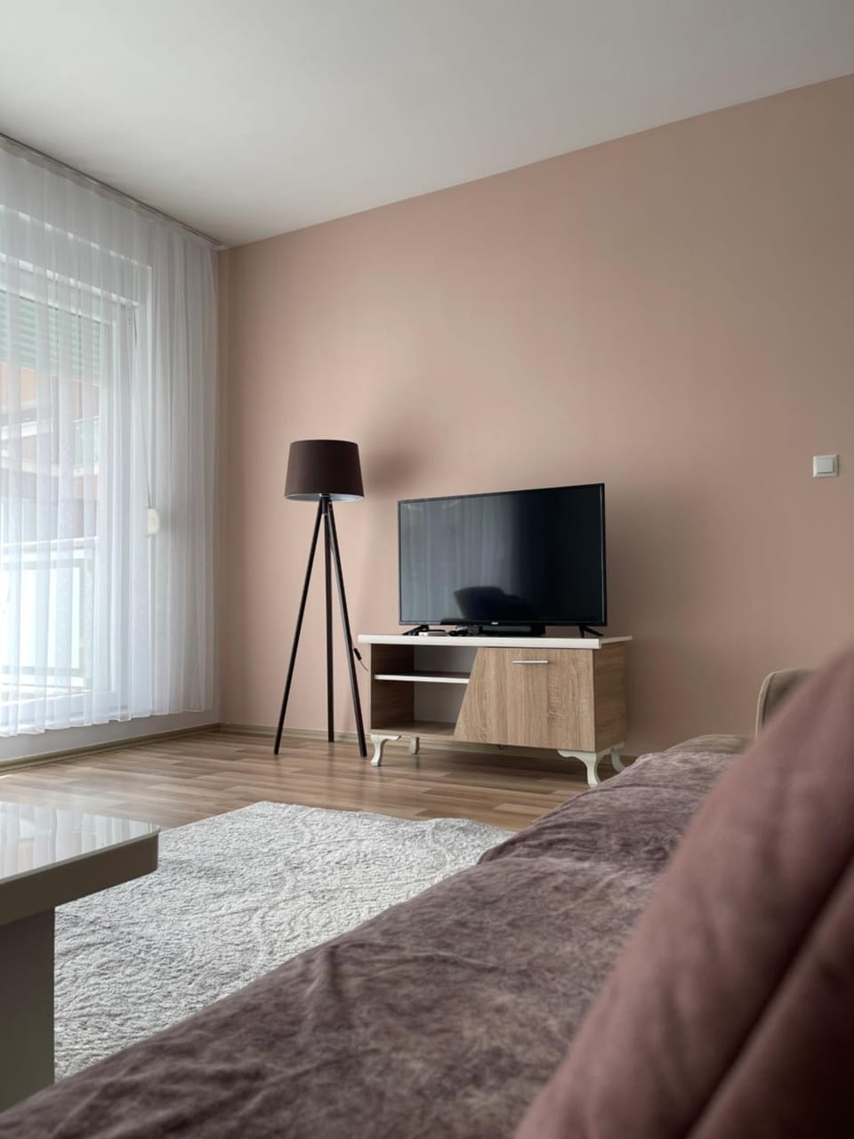 Entire Apartment - near the Center Apartment in Serbia