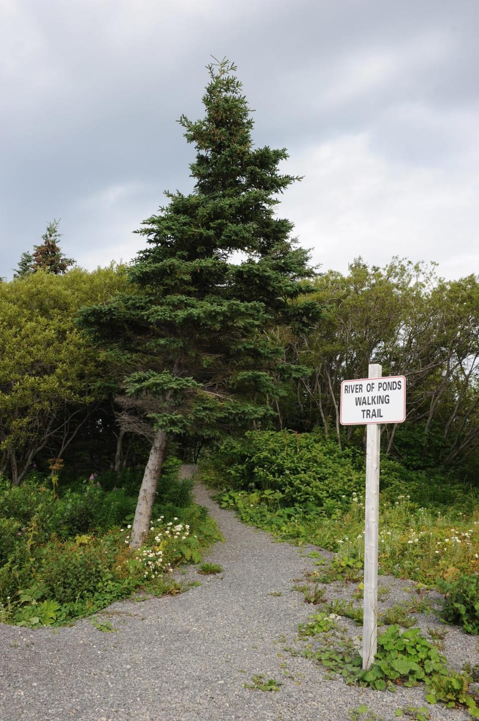 Riverside Chalets Chalet in Newfoundland and Labrador