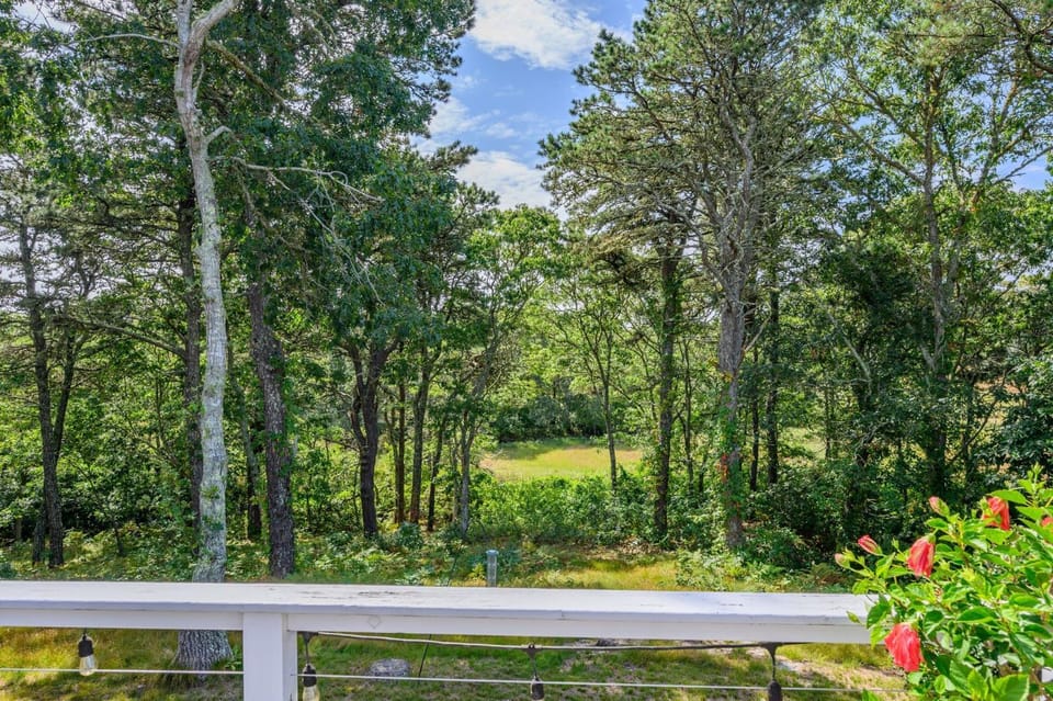 Sarah-N-Dipity: Cozy Cottage Near Ridgevale Beach House in South Chatham