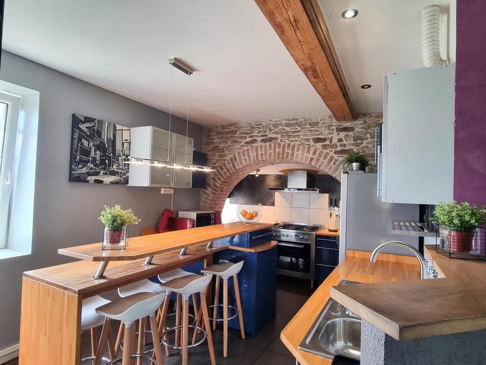 Gîte campagnard avec animaux acceptés, terrasse privée - FR-1-496-299 House in Auvergne-Rhône-Alpes