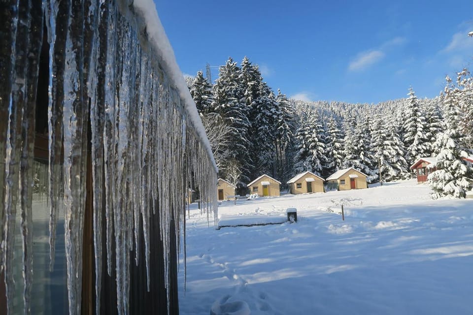 Natural landscape, Winter