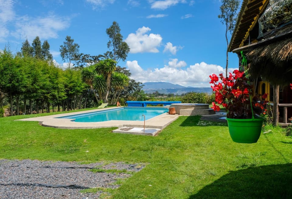Swimming pool, Swimming pool
