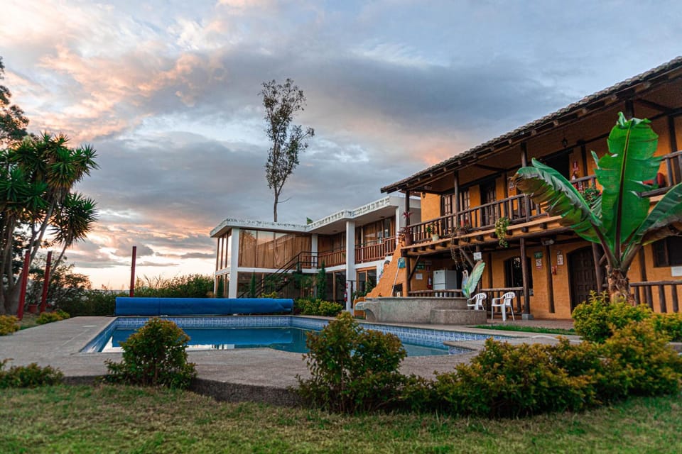 Garden, Pool view, Swimming pool