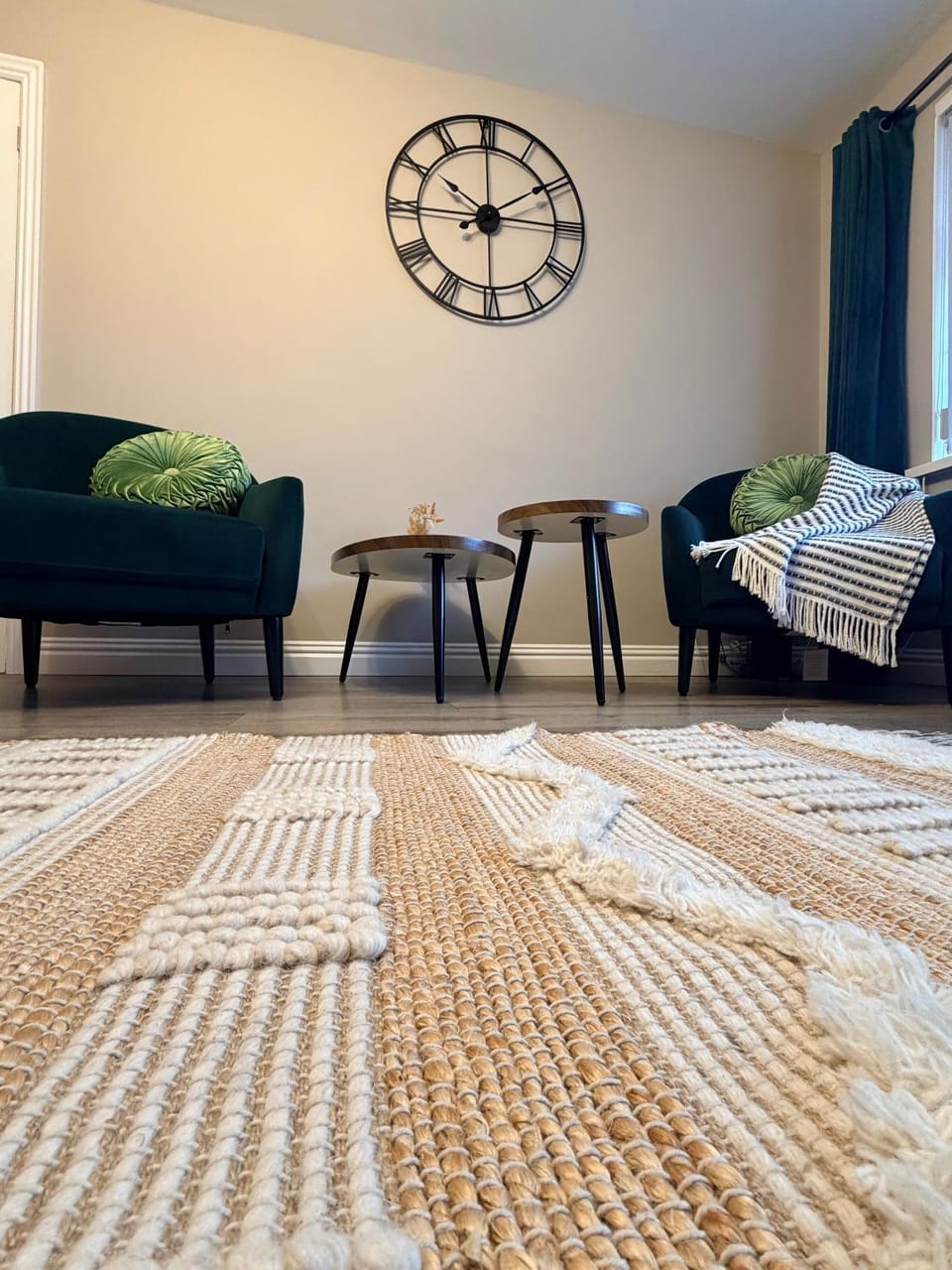 A Lil cosy Belfast home House in Belfast