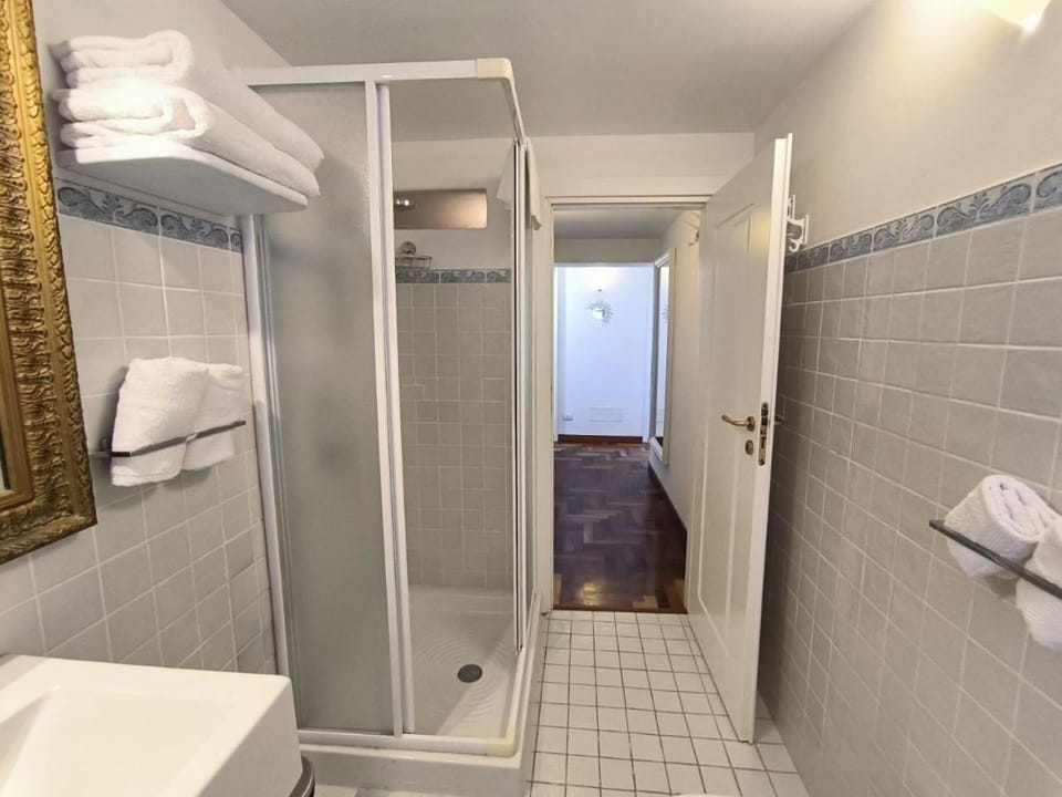 Shower, Toilet, Bathroom, towels